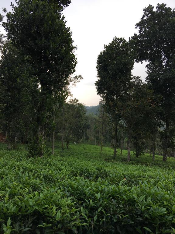 Harmony Farm Wayanad Sultan Bathery Exterior photo