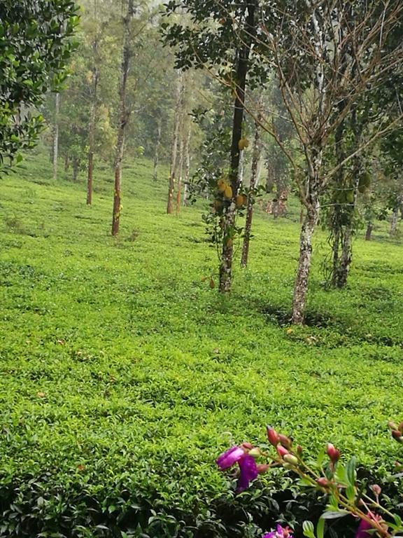 Harmony Farm Wayanad Sultan Bathery Exterior photo