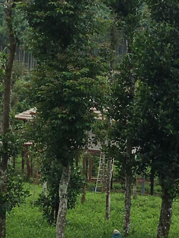 Harmony Farm Wayanad Sultan Bathery Exterior photo